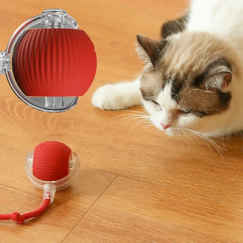 Smart Motion Cat Toy Ball: Non-Stop Entertainment for Your Kitty